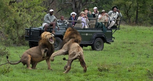 Experience Sabi Sabi Game Drive during your next South Africa vacations.
