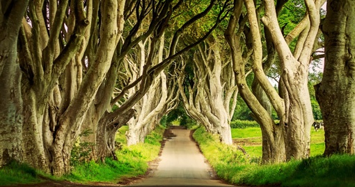 Northern Ireland is the filming location for many scenes in Game of Thrones