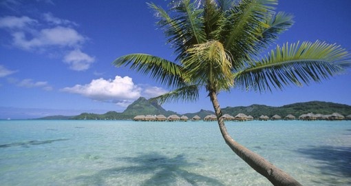 Relax and bathe in the sun on the beaches of the Bora Bora Pearl Beach Resort during your next Tahiti Vacation.