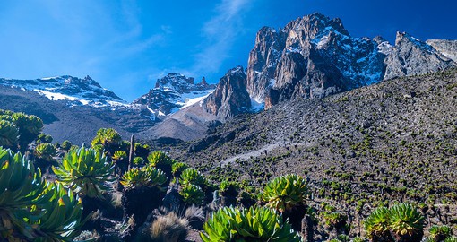 Hike up Mt Kenya, the second highest mountain in Africa