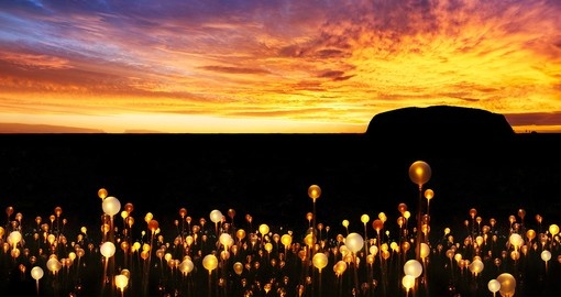 The Field of Light at Uluru