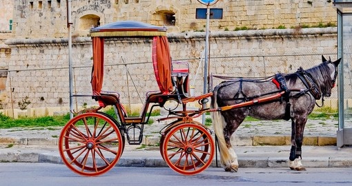 Horse-drawn carriage for tourists