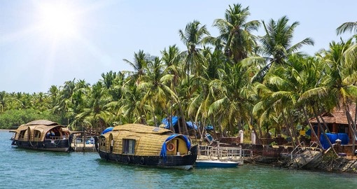 Visit the Backwaters on your India Tour