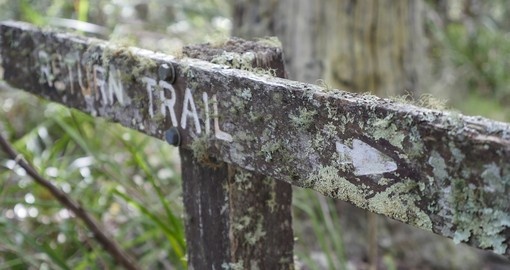 Bush Trail Sign