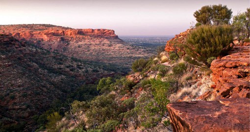 Kings Canyon is a majestic destination featuring towering sandstone walls and palm-filled crevices