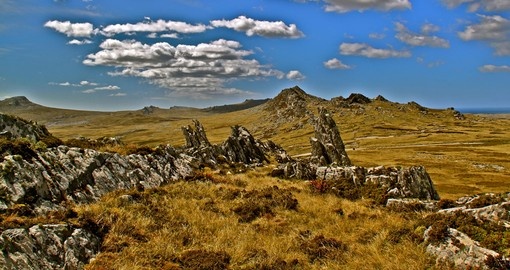 The rugged peat terrain, Falkland Islands