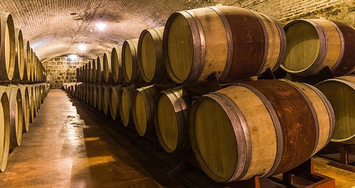 Accounting for more than half of Argentina's wine production, Mendoza is renown for its Malbec