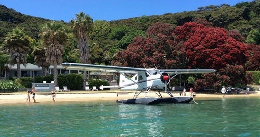 Enjoy a scenic flight and gourmet lunch at Kawau Beach House on your New Zealand Vacation