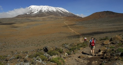 On the slope of Mount Kilimanjaro in Tanzania