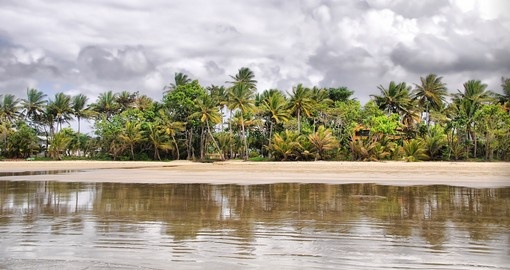 Walk on the Mission Beach in Tropical Queensland on your next Australia tours.