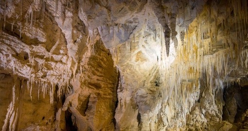 Include a visit to the Caves at Waitomo on your New Zealand vacation