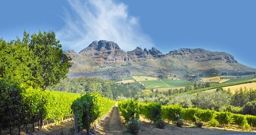Discover amazing wineries on your next South Africa vacations.