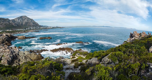 Featuring a rugged coastline, Walker Bay is also home to a thriving wine producing region