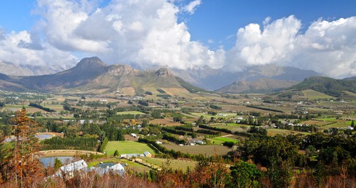 Visit magnificent Vineyards of Cape Winelands during your next South Africa tours.