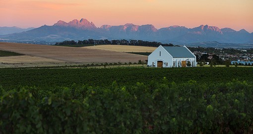 The Cape Winelands offer the visitor exceptional wines, scenic landscapes and gourmet cuisine