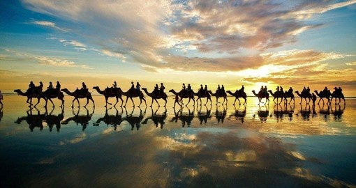 Your Australia Vacation includes a Camel Ride in Broome, Western Australia