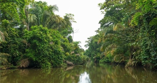 Your Costa Rica vacations visits Tortuguero National Park