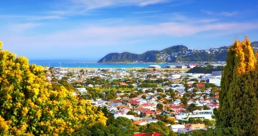 Discover the beautiful city Wellington on your next New Zealand vacations.