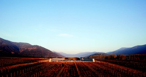 Chile is home to many romantic vineyards and scenery