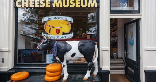 Sample delicious cheese on your Netherlands Tour