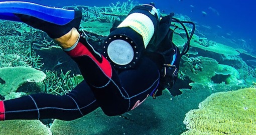 Enjoy scuba diving on your next trip