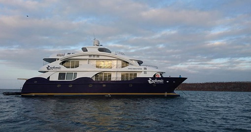 Enjoy a Galapagos Cruise on board the MC Endemic