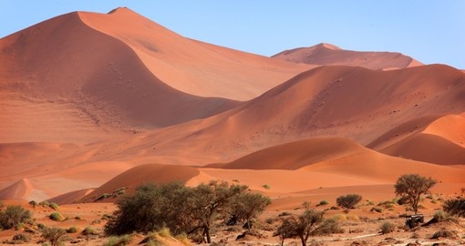 You will have to see this amazing Sossusvlei sand dunes on your next South Africa tours.