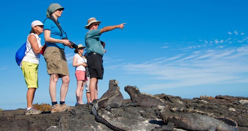 Explore the Islands on your Galapagos tours.