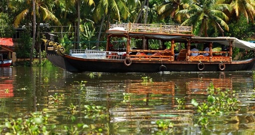 Tropical forest in backwater of Kochin