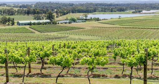 Visit some beautiful wineries and sample decadent chocolate on your Australia Vacation