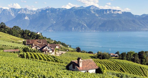 Lausanne is surrounded by vineyard-covered slopes, with Lake Geneva at its feet