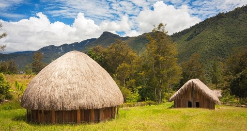 Traditional huts