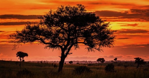 Travelling to Uganda includes the spectacular Africa sunsets