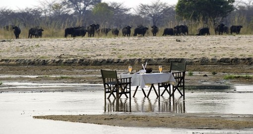 Romantic Breakfast and Game Viewing