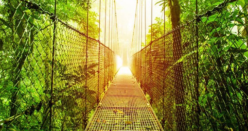 The Arenal Hanging Bridges provide a unique rainforest experience from a bird's point of view