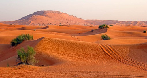 Stretching from the Persian Gulf to Jordan, the Arabian Desert is one of the world's largest
