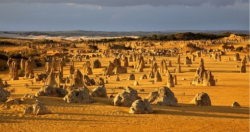 The Pinnacles Desert is one of country's best known landscapes and is a great addition to all Australia vacations.