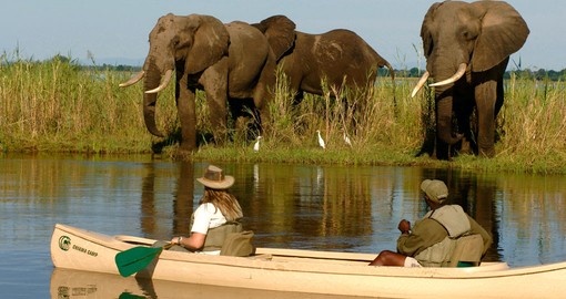 Chiawa Camp canoeing with an elephant, a must-do during your Zambia tour.
