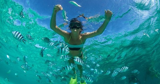 Snorkel in the Indian Ocean during your Seychelles vacation.
