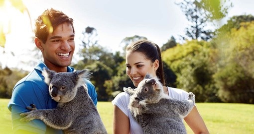Get a chance to close the coolest furry buddies in Australia on this Koala Cuddle Adventure