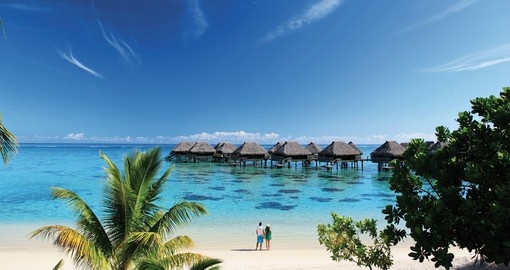 Amazing view of the beach side during your next trip to Tahiti.