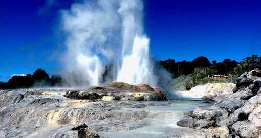Get cameras ready to capture as the Pohutu Geyser in Rotorua puts on a show