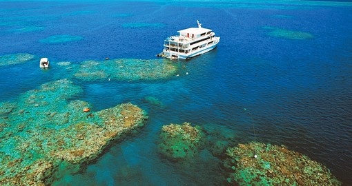 Enjoy a day of snorkeling on the Outer Barrier Reef