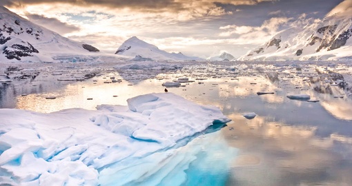 Experience inspiring landscapes on your Antarctica Cruise
