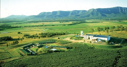 Drive through beautiful Hunter Valley Wine Region on your next Australia tours.