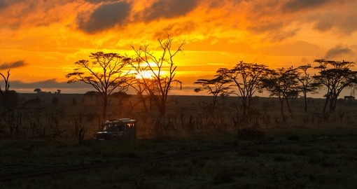 Experience magical Safari Sunrise on your next trip to Tanzania.