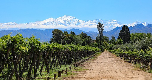 Heart to the heart of Wine Country with a trip to the home of Melbecs and red wines, Mendoza