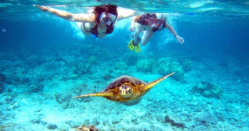 Great snorkelling is available not far from your hotel