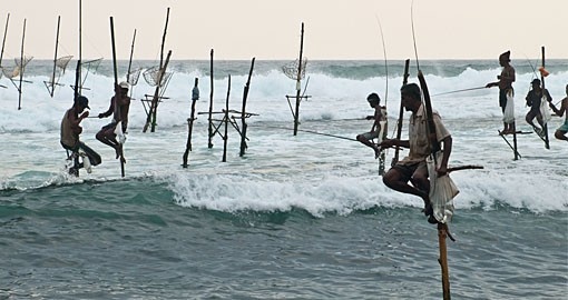 Standing on a single timber pole to fish is unique to Sri Lanka