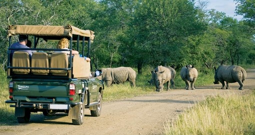 Enjoy magical safari during your next trip to South Africa.